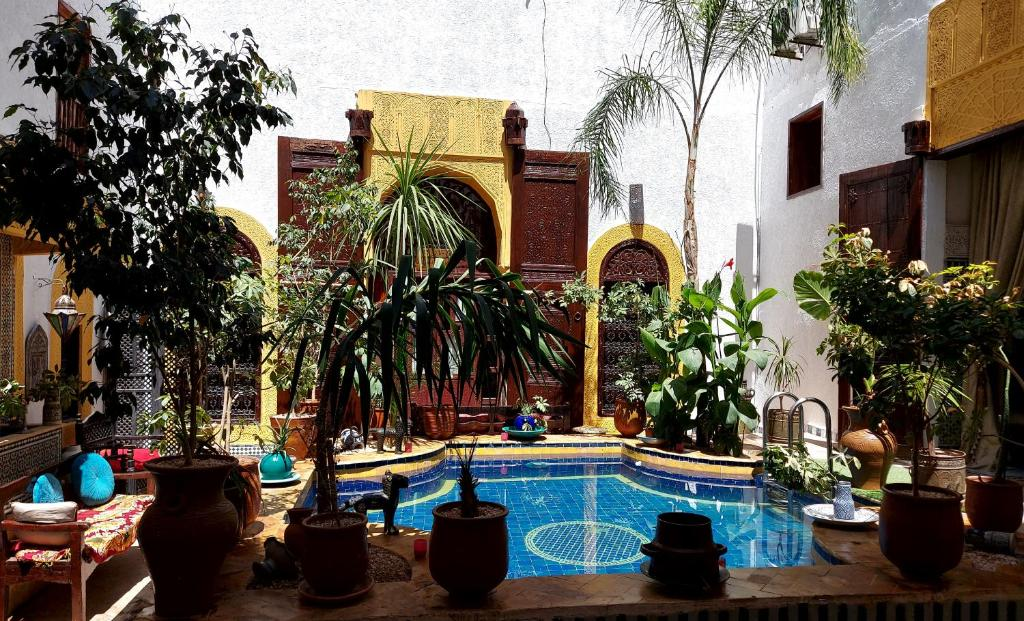 Moroccan Details